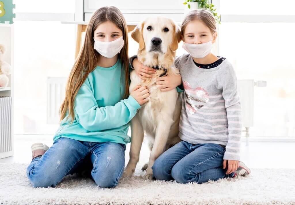 dogs with humans in face masks