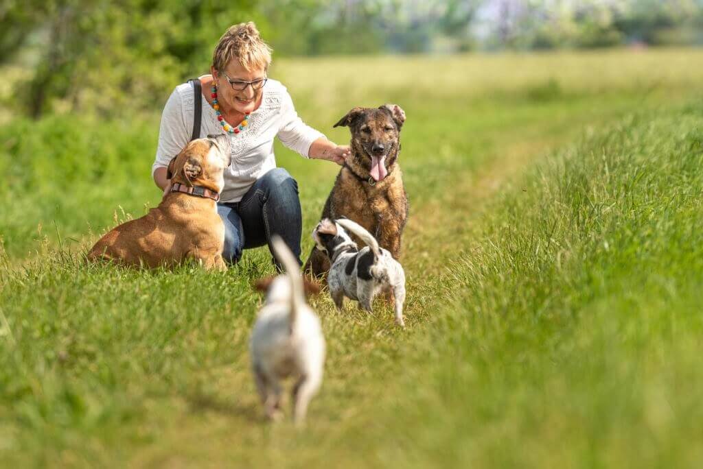 dogs with their owner