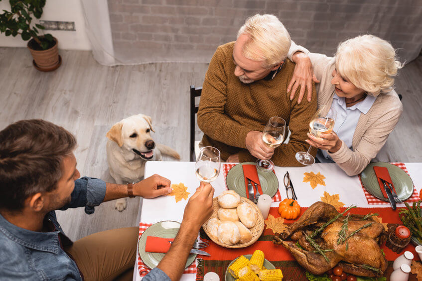 dog sitting near table with house guests