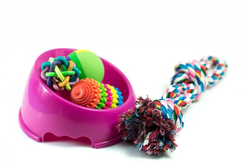 clean pet bowl and toys