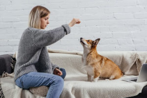 woman continuing dog training at home