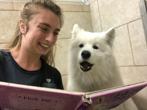 a west dog boarding guest loves storytime