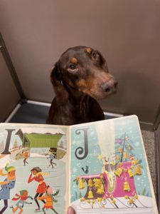 greenlin camp hill dog boarding guest enjoying storytime