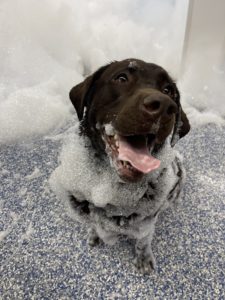 bath time at the greenlist east location