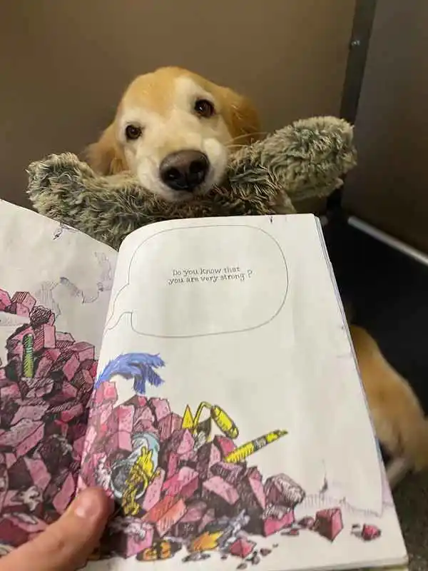 A golden retriever peeks over a stuffed toy while looking at a children's book with colorful illustrations and a speech bubble that reads 'Do you know that you are very strong?'."