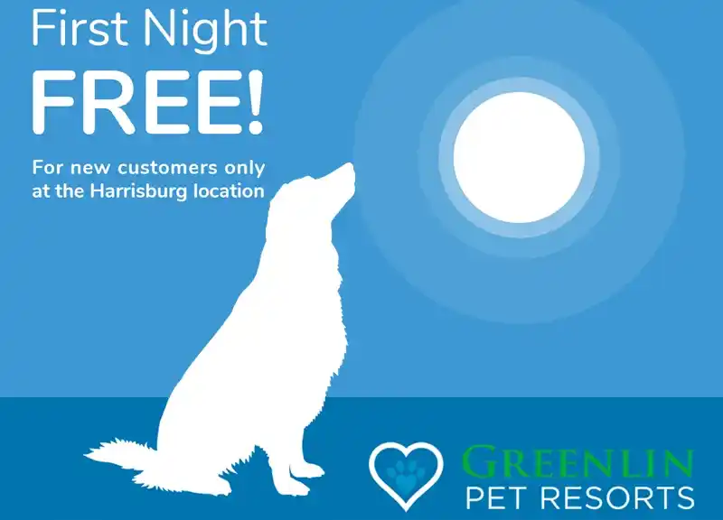 FB_First-Night-Free-new FB_First-Night-Free-new