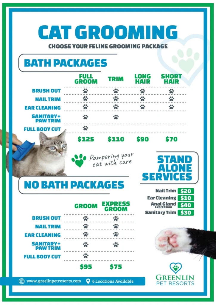 Greenlin cat grooming chart showing feline packages: Short Hair Cat Bath, Long Hair Cat Bath, Cat Bath plus Trim, Feline Full Groom with lion cut, Feline Groom (no bath), and Feline Express Groom, plus standalone services.